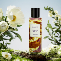 Déodorant unisexe frais en spray Eau de Toilette 250 ml, vente directe usine, parfum chimique pour jour et nuit