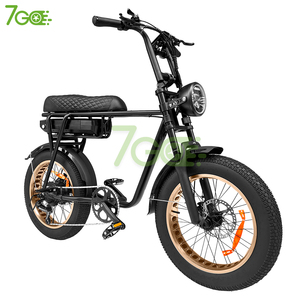 EB2 EB4 合金铝制宽胎电动越野车 20 英寸 48V 18.2Ah 锂电池 500W 7 速齿轮 液压刹车 欧盟标准 - Product Image 3