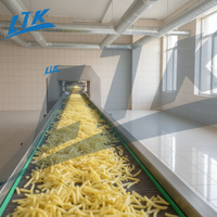 Nieuwe automatische productielijn voor frites, machine voor het maken van verse aardappelchips, friteuse voor fruit & groentechips, snackverwerkingslijn