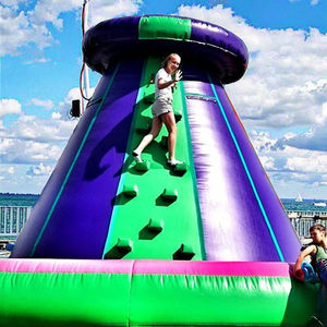 Offre Spéciale PVC et Bâche Gonflable Escalade Colline En Plein Air Commercial Parc D'attractions Sport Jeu avec Souffleur Imprimé Logo - Product Image 2