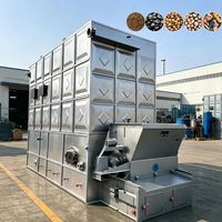 Nueva Caldera Industrial de Aceite Térmico de Alta Temperatura con Rejilla de Cadena Horizontal Serie YLW, de Acero de Bajo Carbono, para Carbón, Biomasa y Cáscara de Arroz