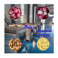 Baiyu Industriële Aardappel Wassen Peeling Polijstmachine Wortel Ui Energiezuinig Besparen Water Fruit Verwerkingsfabriek