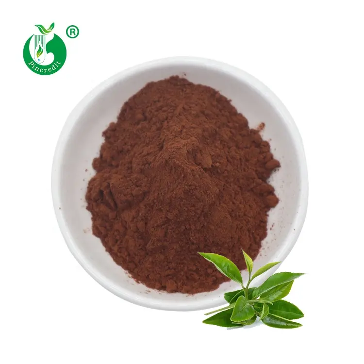 जैविक हरी चाय निकालने पाउडर जड़ी बूटी चाय Polyphenols 98% EGCG 50% Catechins 70%