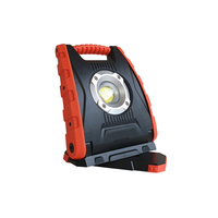 Foco de luz LED Universal, 30W