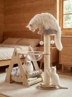 Arbre à chat de luxe durable avec maisonnette, balançoire, griffoir, structure d'escalade, capsule spatiale, écologique, en panneaux multicouches et corde de sisal