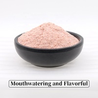 Poudre d'assaisonnement à la prune douce et naturelle Wei Le Xiang Brand Fresh Saveur Séché Mélangé Barbecue Marinade Épices Additifs
