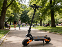Trottinette électrique pliable en alliage d'aluminium avec pneus de 10 pouces, batterie au lithium 800W 1000W 1600W 48V 13AH 15AH 18AH, entrepôt UE