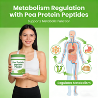 Peptide de protéine de pois de qualité alimentaire protégé par brevet <1000Da, non-OGM, à base de plantes, poudre hydrosoluble pour compléments alimentaires et boissons