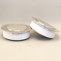 Thyristor Gerbang Terdistribusi IP147-3176-P untuk Furnace Fasr SCR IP147-3176-P