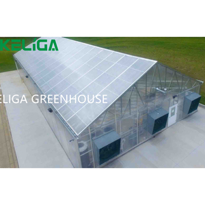 Commerciële Hydroponische Glazen Pc-Plaat Fotovoltaïsche Kas Met Tomaat Kweeksysteem Groot