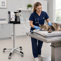 Appareil d'anesthésie vétérinaire portable avec base sur pieds et débitmètre pour chiens, chats, cliniques vétérinaires et interventions chirurgicales