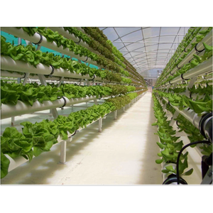 Hydro ponics Growing System 36 Standorte PVC-U rohre in Lebensmittel qualität Indoor Planting Kit mit <span class=keywords><strong>Pump</strong></span> Basket White Sponge - Product Image 4