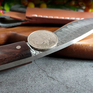 Outdoor fruit <b>knife</b>, Mongolian hand-held meat <b>knife</b>, carving, self-defense, collection, straight <b>knife</b>, wilderness camping - Product Image 2