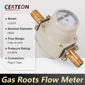 Alat Ukur Aliran Roots DN25 Presisi Tinggi Anti Ledakan Untuk Biogas LPG dan <span class=keywords><strong>Gas</strong></span> Alam - Product Image 3