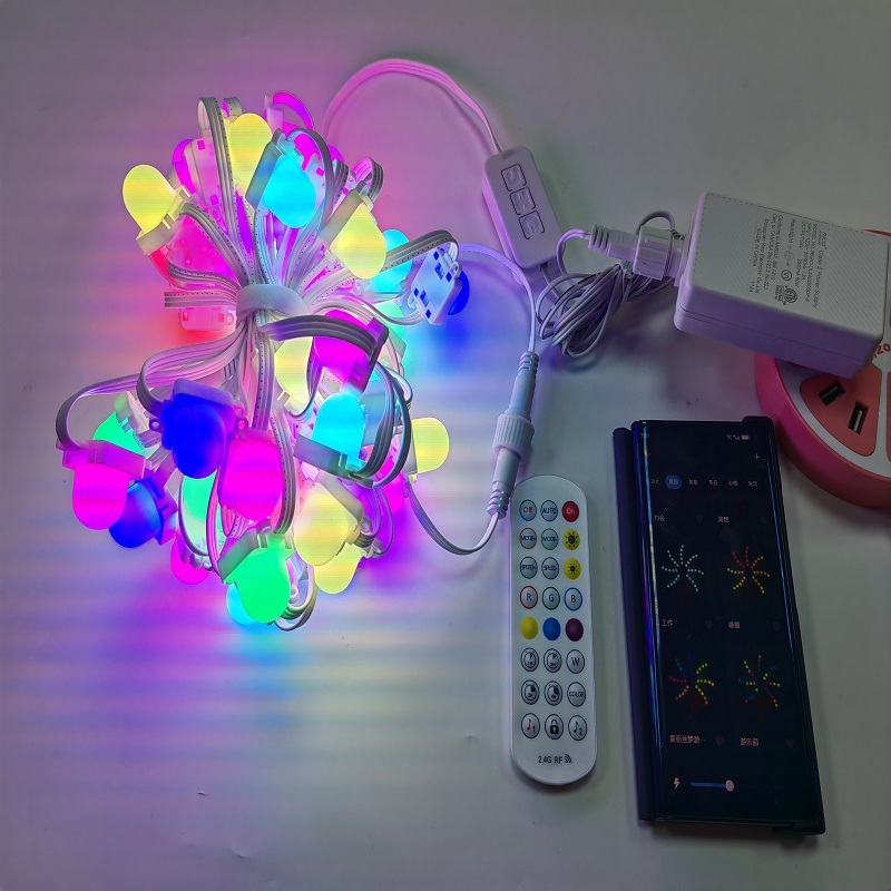 Outdoor Waterproof LED Smart Pixel Point Controller Programmable RGBW Addressable String Light IP65 for Christmas