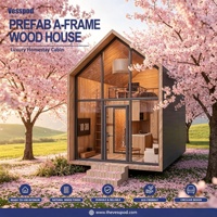 Maison préfabriquée en acier préfabriqué pliable en forme de triangle, capsule de toit, petite maison préfabriquée pour villas