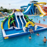 Toboggan aquatique gonflable commercial en PVC, thème dauphin tropical, double piste, capacité 500 kg, garantie 3 ans pour l'eau