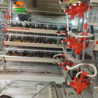 Cages à poulets de chair de marque avec système d'alimentation automatique pour usage domestique ou commercial aux Philippines