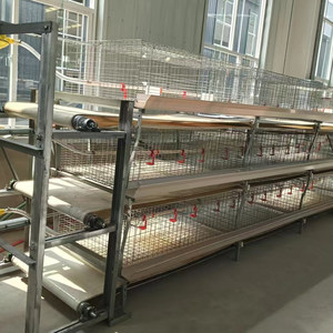 Jaula de Acero para Pollos/Pollos de Engorde, Nueva, de Alta Calidad, Duradera, en Forma de H, de Tres Niveles y <span class=keywords><strong>Dos</strong></span> Puertas, con Transportador, Vida Útil de 15 Años - Product Image 6