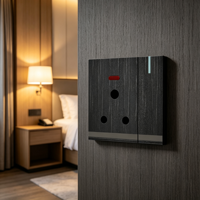 Prise murale électrique OEM 15A à broches rondes avec interrupteur et voyant néon, vente en gros