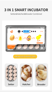 Wonegg Led Bò sát Thổ Nhĩ Kỳ 20 lồng ấp trứng giá gia cầm trứng lồng ấp để bán - Product Image 6