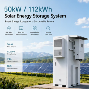 Kit solaire complet Bluesun Wholesale CE 50KW avec onduleur PV et batterie 112KWH, armoire extérieure, ensemble solaire hybride, livraison rapide UE - Product Image 1
