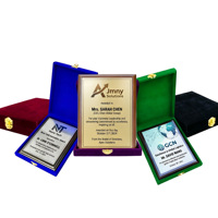 Plaques décoratives en bois pour trophées, avec boîte en velours, personnalisables, gravées sur mesure, pour événements d'entreprise, vente en gros en usine