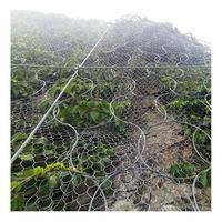 Système de protection passive de filet d'évitement de collision de bourdon de barrières de glissement de terrain à haute résistance