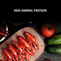 Nourriture pour poissons de haute qualité, riche en protéines, granulés de 1,5 mm, 3 mm, 5,5 mm, système d'alimentation, spiruline, couleur vive, nourriture pour poissons rouges, nourriture pour poissons KOI