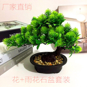 ต้นสนประดิษฐ์ Qi Xing ขนาด 25x25 ซม. สีม่วง สำหรับตกแต่งภายในอาคาร - Product Image 5