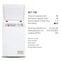 Congélateur coffre horizontal 251L à température unique, dégivrage automatique, alimenté au gaz, pour usage domestique et hôtelier