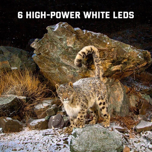 Caméra de chasse en plein air 940nm LED infrarouge <span class=keywords><strong>Trail</strong></span> IP67 Étanche Alimenté par énergie solaire/batterie 36MP CMOS 1080p/4K Prise en charge de la carte SD 512 Go - Product Image 5