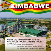 Usine de fabrication d'aliments pour animaux RICHI prête à l'emploi - Ligne de granulés d'aliments pour dindes 5t/h pour fermes commerciales et usines d'aliments pour animaux en Afrique