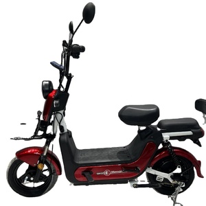 Mạnh Ma Động Cơ Điện Công Suất Cao Bán Buôn Trực Tiếp Không Chổi Than 48v350w Max LED Ánh Sáng Lead-Acidbattery - Product Image 6