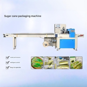 Machine d'emballage à vide de haute qualité pour la conservation des aliments, des boissons et des produits frais - Product Image 2