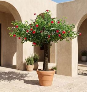 <span class=keywords><strong>Arbre</strong></span> à pommes artificiel décoratif <span class=keywords><strong>en</strong></span> <span class=keywords><strong>pot</strong></span>, hauteur personnalisable, arbres fruitiers <span class=keywords><strong>pas</strong></span> chers, plantes Bosai à vendre - Product Image 4
