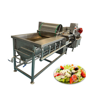 Industrial Grade <b>Vegetable</b> Cleaning Machine New Eddy Current Washing Equipment With Engine Core Component for Fruit Raw Material - Product Image 2