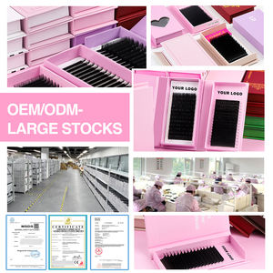 Extensions de Cils en Gros Logo Personnalisé Forme YY 3D 4D 5D 6D en W Courbure D TDANCE Cilios - Product Image 4