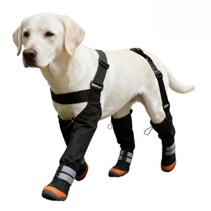 Botas Reflectantes Impermeables para Perros y Arnés con Tirantes para las Patas, Más Vendidas - Product Image 1