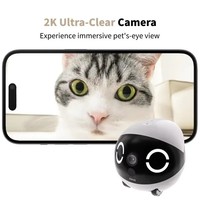 Robot Compagnon pour Animaux de Compagnie avec Contrôle Sans Fil Intelligent par Application, Caméra HD, Voix Bidirectionnelle Interactive, Jouet pour Chat à Poulie