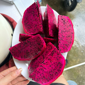 แก้วมังกรสดใหม่ สีแดงขาว จากเวียดนาม สำหรับทำน้ำผลไม้ สมูทตี้ ของหวาน ผลไม้รวม จัดเลี้ยง และขายปลีก - Product Image 1