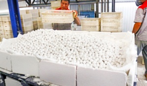 Alto Óxido de alúmina Medios de molienda Bola de cerámica de alúmina Producto de cerámica Premium - Product Image 4