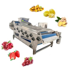 Industrial <strong>Prickly</strong> <strong>Pear</strong> Fruit Juice Concentrate <strong>Pulp</strong> Jam Processing Making <strong>Machine</strong> Plant - Product Image 6