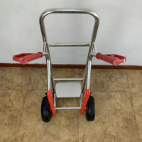 Chariot de manutention industriel en alliage d'aluminium, capacité 110 kg, pour plateformes et escaliers, logistique d'entrepôt, transport, OEM, double poignée