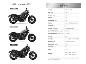Motocicleta CM300 con Motor sin Escobillas de 286cc, Transmisión Manual de 6 Velocidades, Frenos de Disco y Velocidad de 100 km/h - Product Image 6