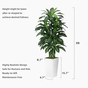 人造龙血树5英尺粉色塑料高株花盆拉枝式免维护环保耐用适合家庭办公室生活 - Product Image 6