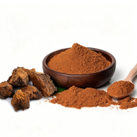 Poudre d'extrait de champignon Chaga 30% polysaccharides, extraction par solvant, qualité alimentaire, certifiée ISO22000 HACCP pour la vente en gros