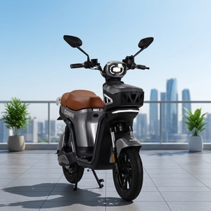 Vente directe d'usine de moteurs de 1200W. Nouveau modèle de vélo 2026. Vélo Hongyi-001, directement de l'usine chinoise Hongyi-001 - Product Image 5
