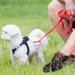 Huamaohengchun Pet Poop Bags for Dogs & Cats, Durable Waste Bags for Outdoor Walking, Premium Pet Cleaning Supplies - Product Image 3