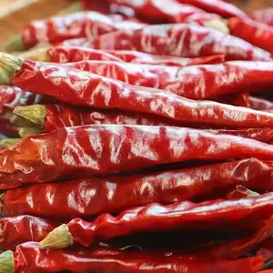 Pimentão vermelho seco quente e picante cru, produtos de especiarias e ervas processadas, produtos exportados da China, pimentão vermelho seco